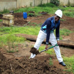 Trees Planting Day, 2nd July 2019